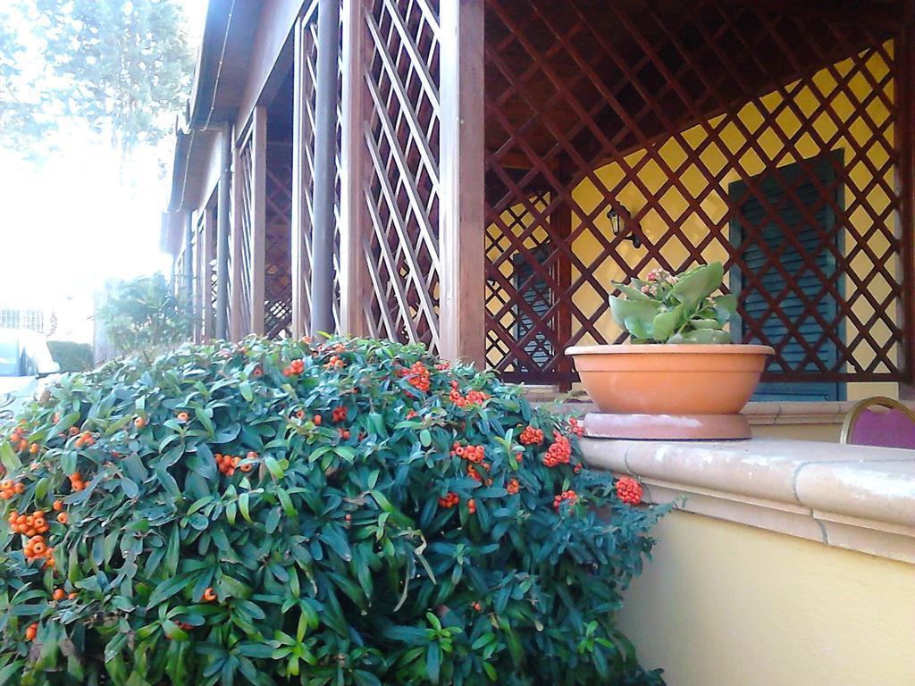 Hotel Federico II Νάπολη Εξωτερικό φωτογραφία