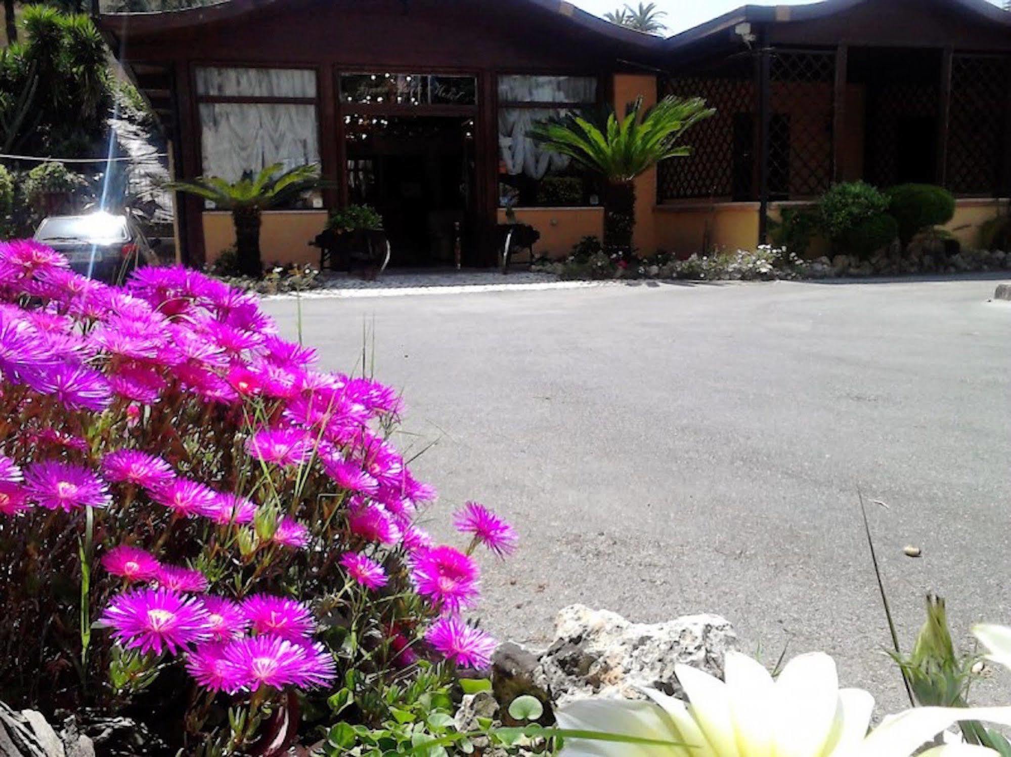 Hotel Federico II Νάπολη Εξωτερικό φωτογραφία